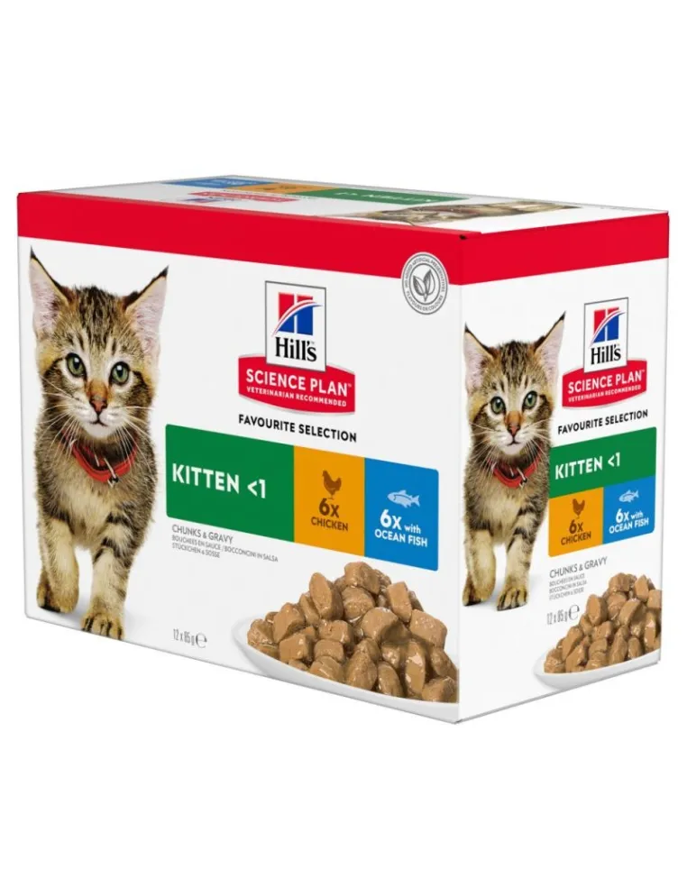 Hills Science Plan Kitten Pollo Pesce 12x85gr