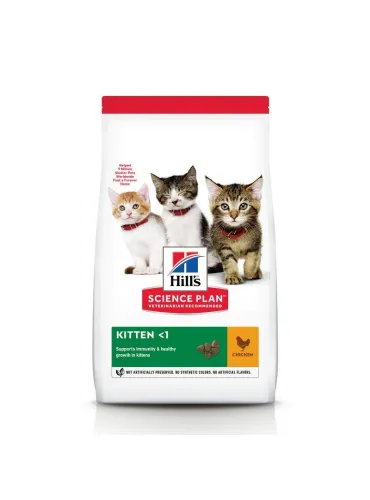 Kitten Science Plan Cat Hills Pollo 300g