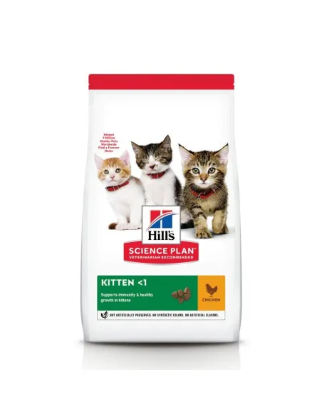 Kitten Science Plan Cat Hills Pollo 300g