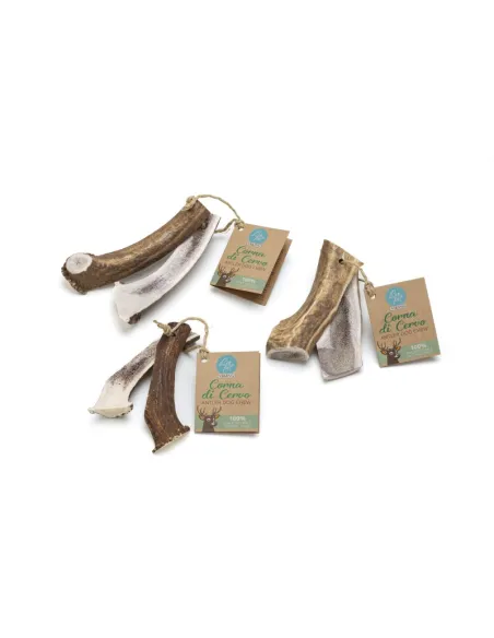 Osso Corno di Cervo Aperto M 80-120g Osso Corno di Cervo Aperto M 80-120g