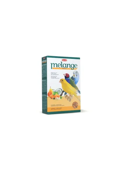 Pastoncino Bird Padovan Melange Fruit 300g