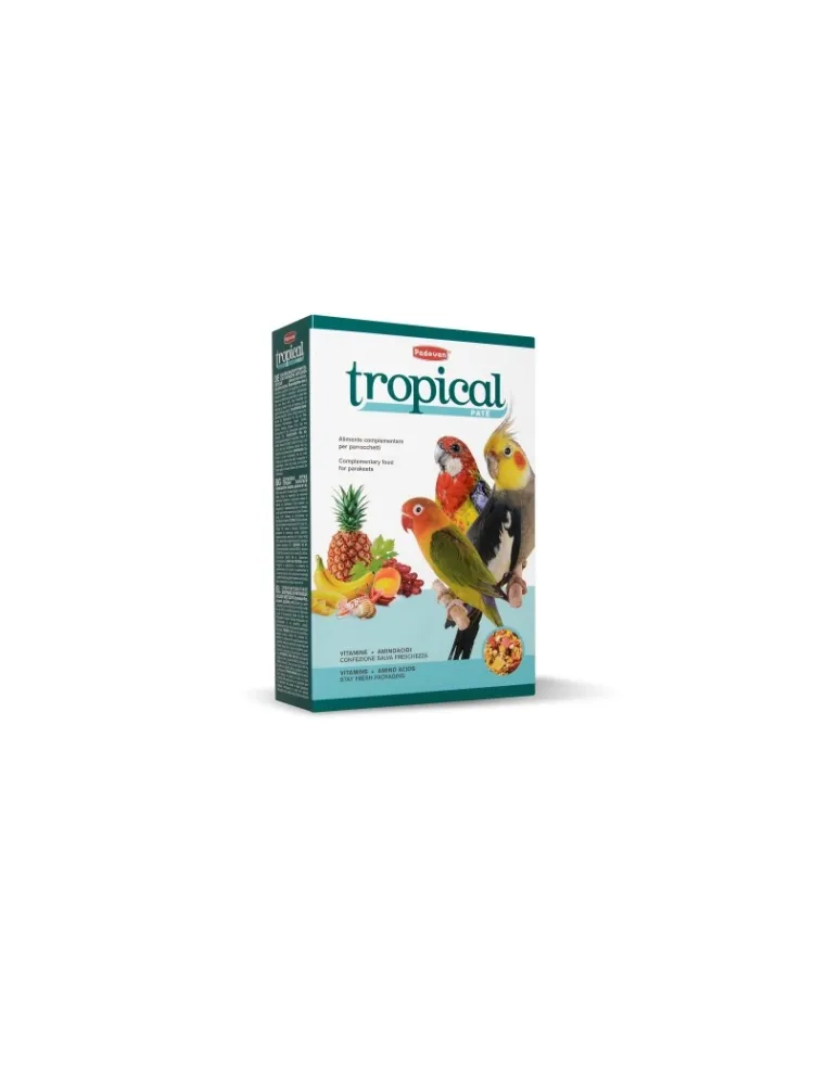 Pastoncino Bird Padovan Tropical Patee 700g