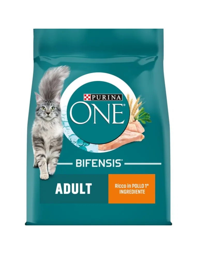 Purina One Adult Pollo e Cereali 800g