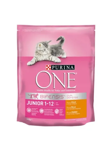 Purina One Junior Pollo e Cereali 800g
