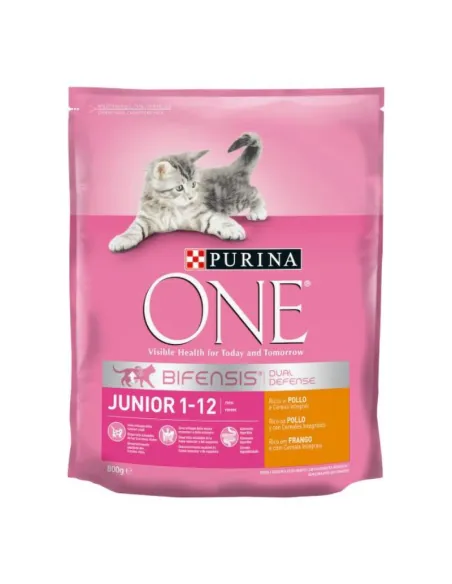 Purina One Junior Pollo e Cereali 800g