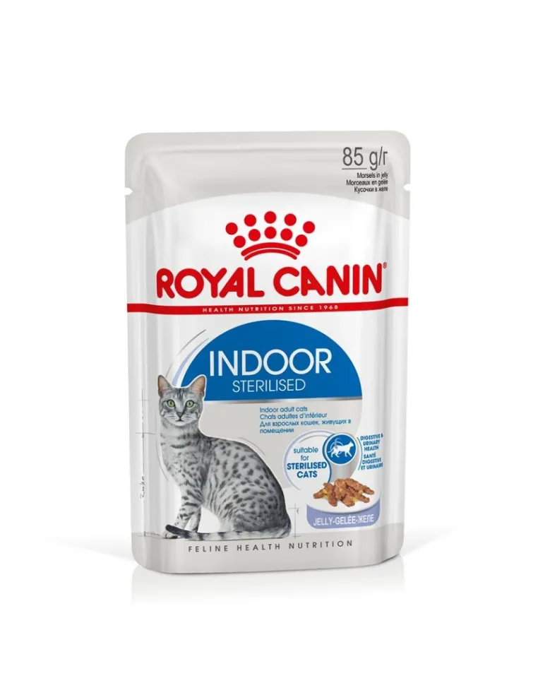 Royal Canin Indoor Jelly 85g Busta