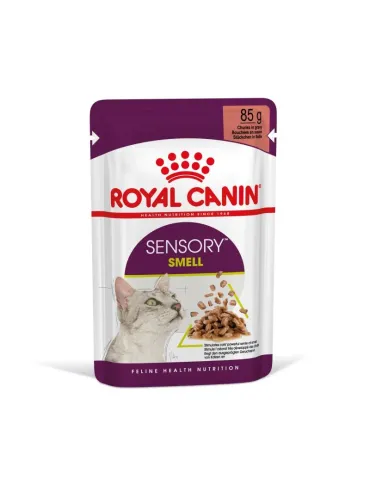 Royal Canin Sensory Smell Gravy 85g Cat Food