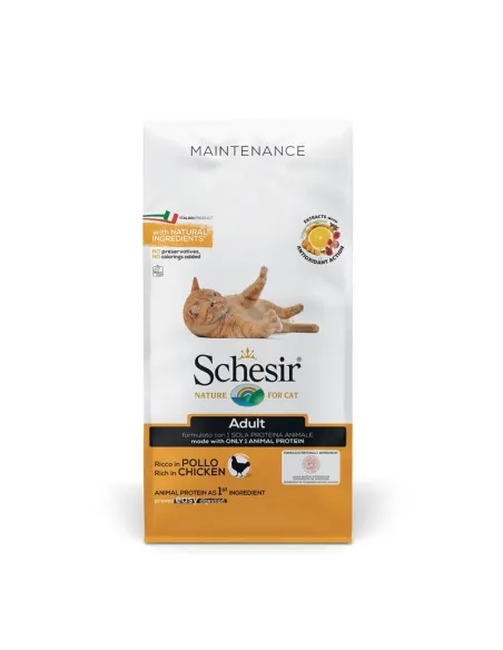 Schesir Cat Adult Pollo 400g