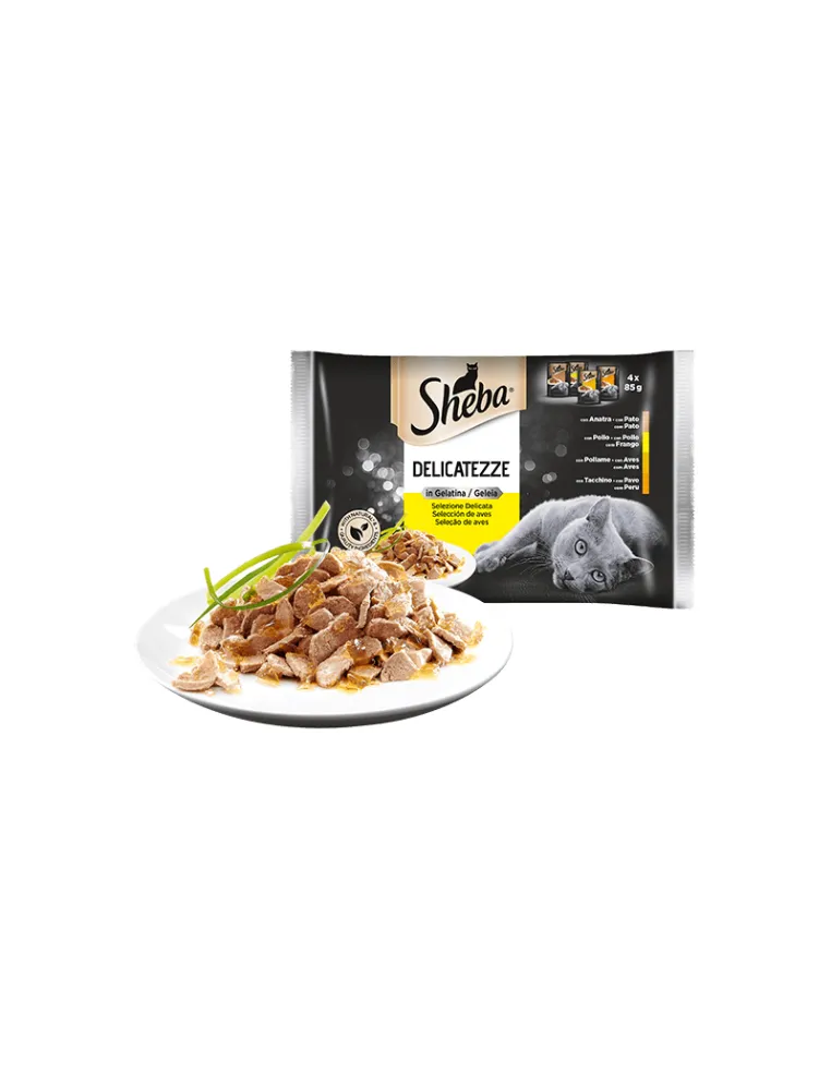 Sheba Delicatezze in Gelatina Pollo 4x85gr