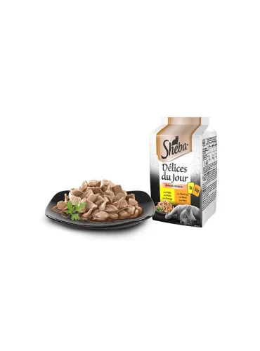 Sheba Delizia del Giorno Pollo Tacchino Verdure Salsa 6x50g
