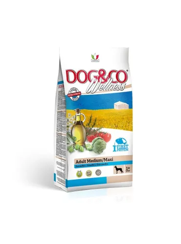 Wellness Adult Pesce Riso 12kg Med/Maxi Dog&Co