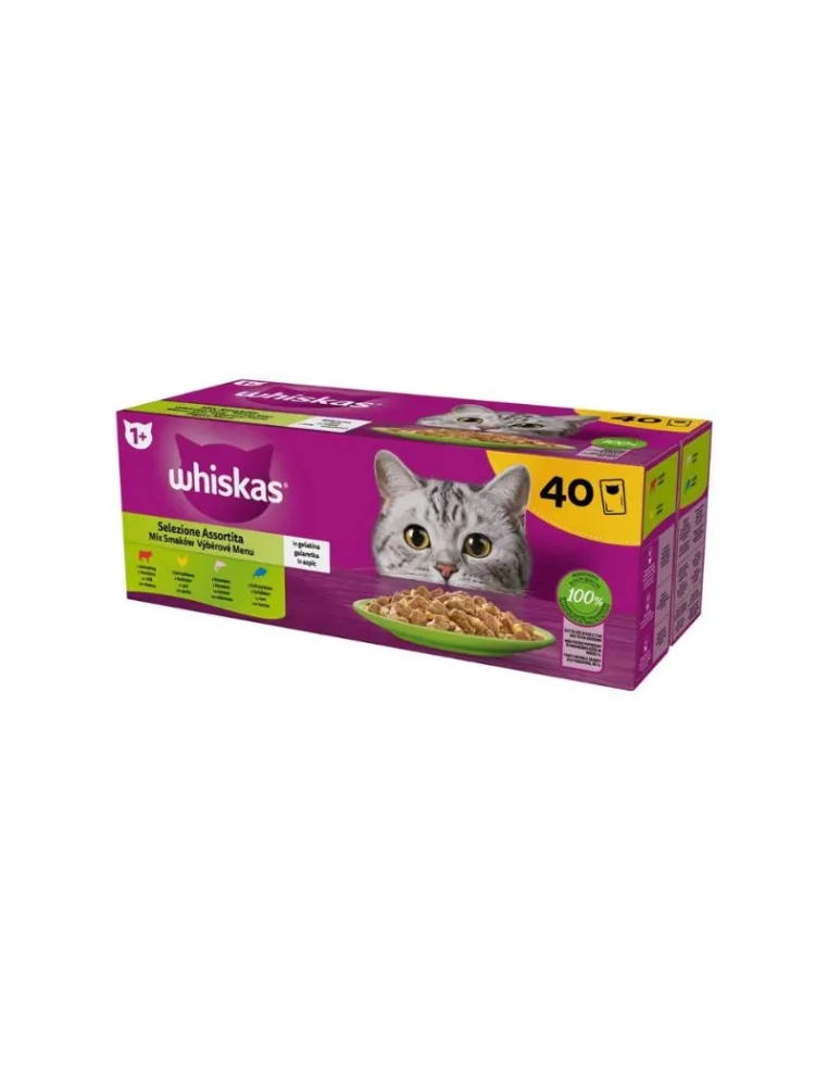 Whiskas Selezione Assortita 40 Buste 85g
