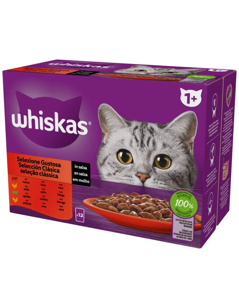 Whiskas Straccetti Gustoso Gelatina 12x85gr