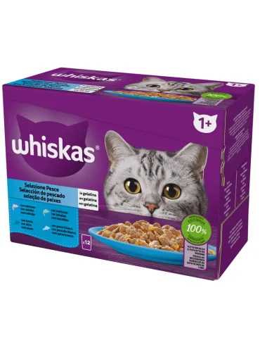 Whiskas Straccetti Pesce in Gelè 12x85gr