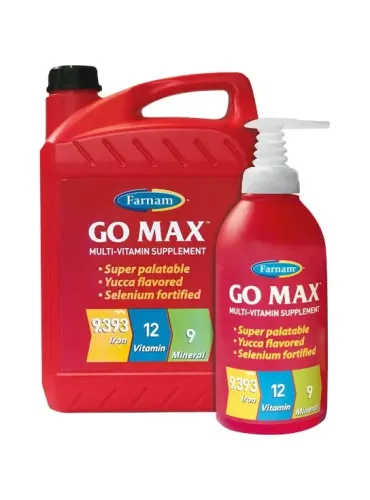 GO MAX Flacone 946 ml