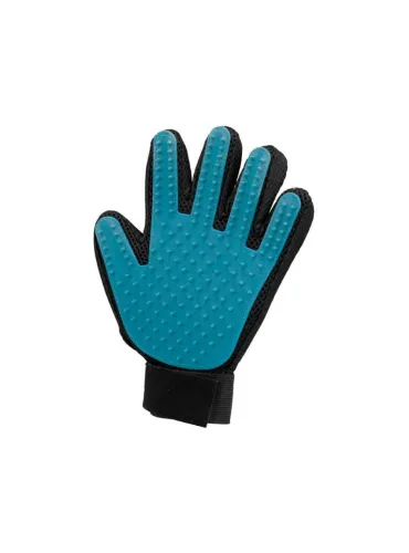 Guanto Cura Del Pelo 16x24 cm