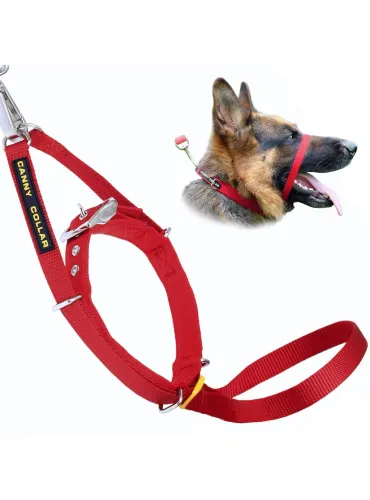 The Canny Collar Magloc Rosso 40kg