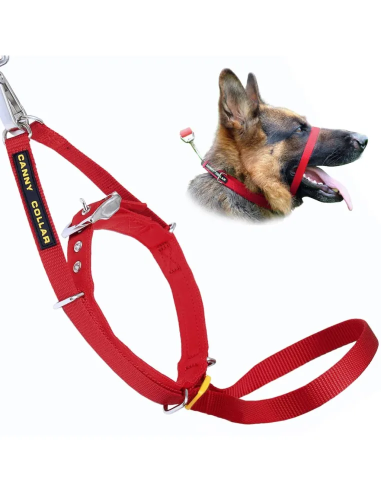 The Canny Collar Magloc Rosso 40kg