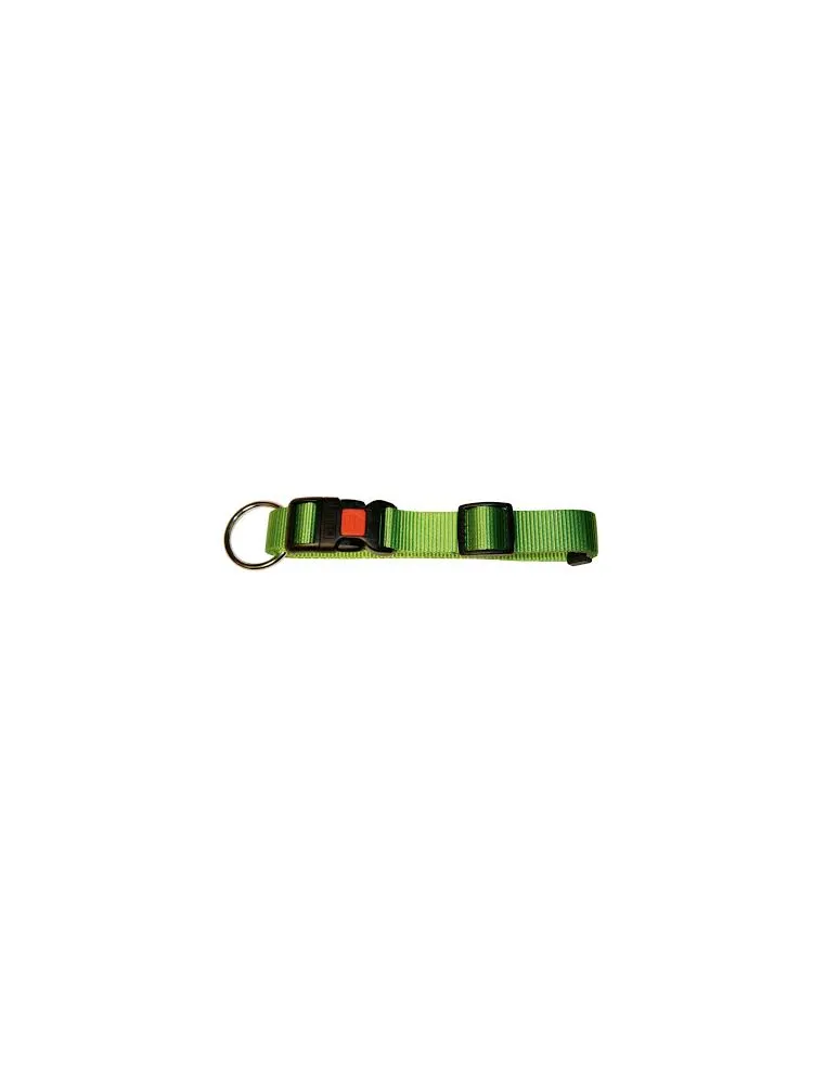 Collare Miami Verde 20-35 cm x 10 mm