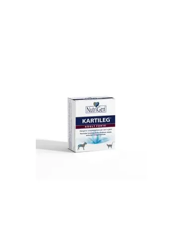 Kartileg Adult Forte 60 compresse