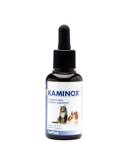 Kaminox Sciroppo 60 ml