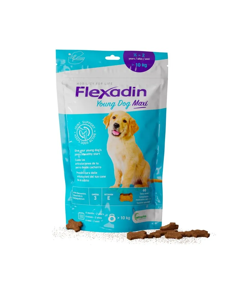 Flexadin Young Maxi 60 Tavolette Appetibili per Cani