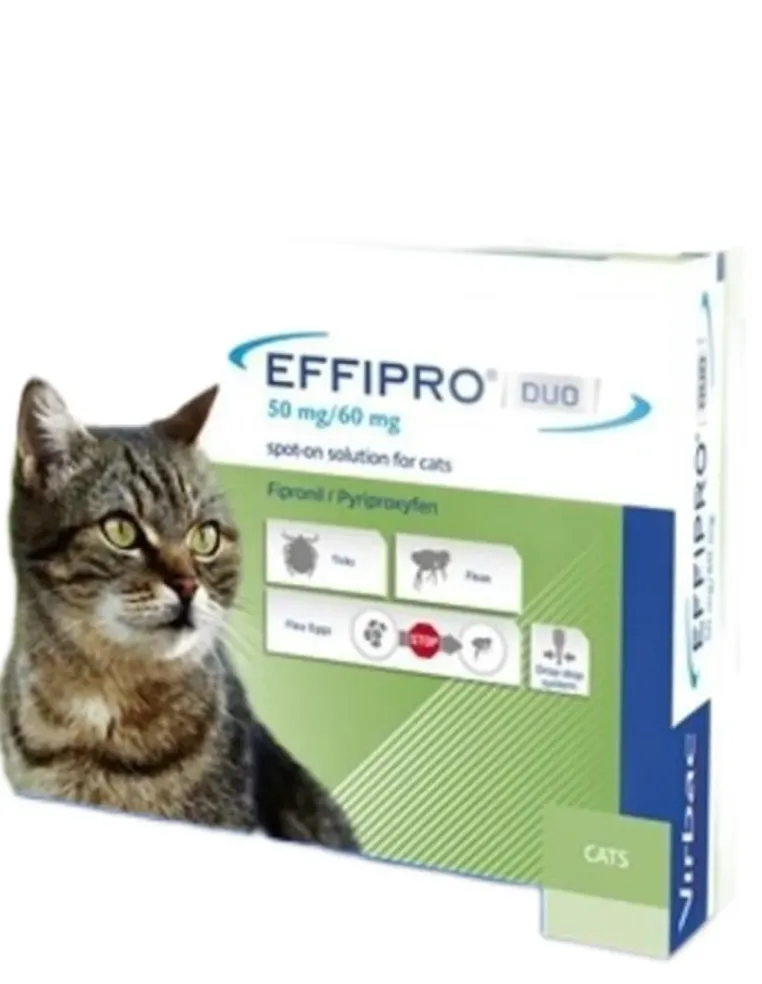 Effipro Duo 50 mg/60 mg spot-on per gatti 4 pipette