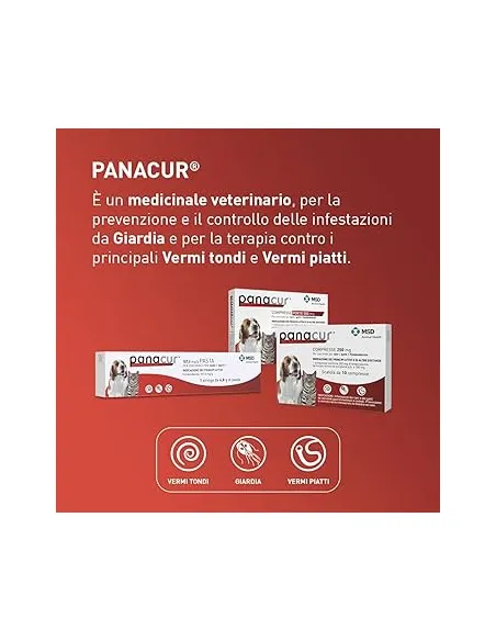 Panacur 250 mg 10 comprimés