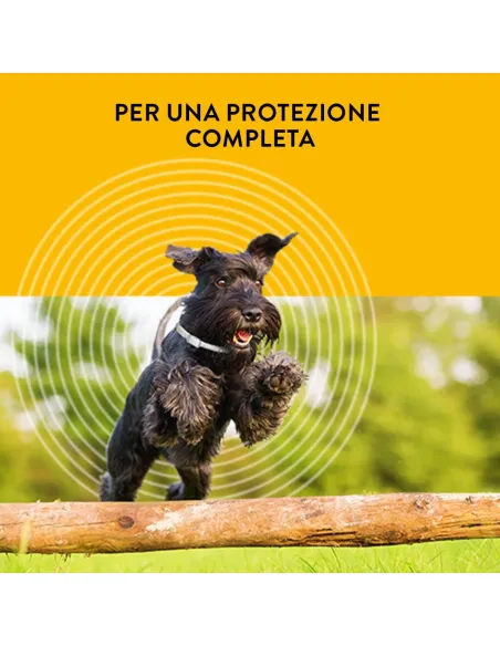 Scalibor collare taglia piccola e media