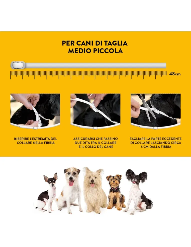 Scalibor collare taglia piccola e media