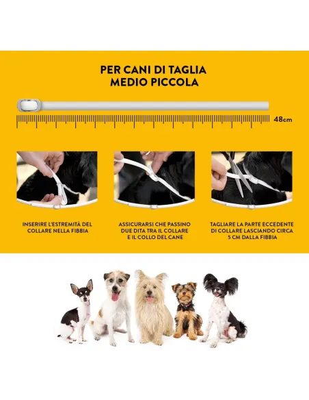 Scalibor collare taglia piccola e media
