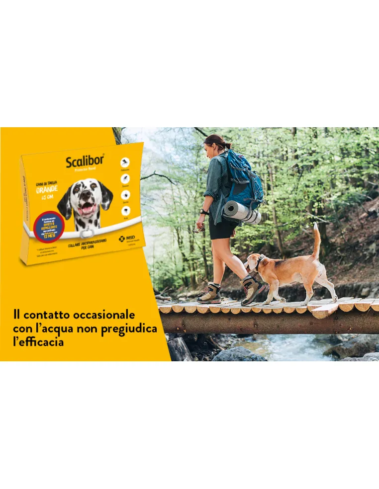 Scalibor collare taglia grande