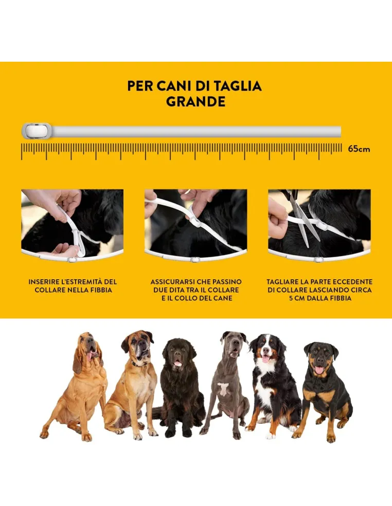 Scalibor collare taglia grande