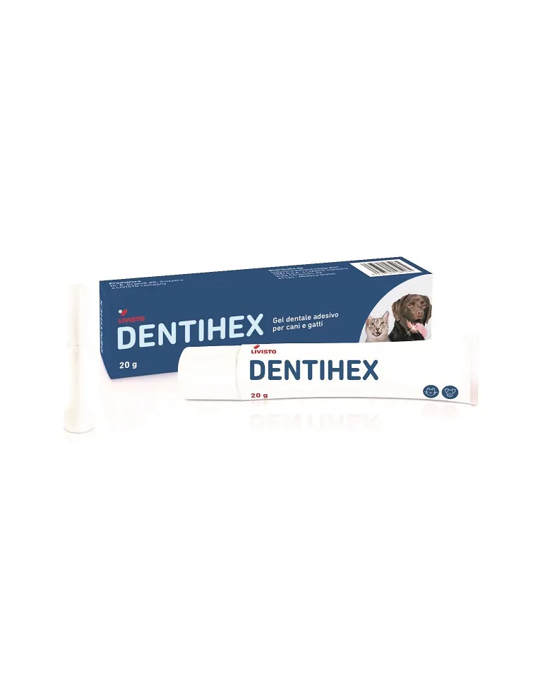 Dentihex Gel Dentale Ades 20G