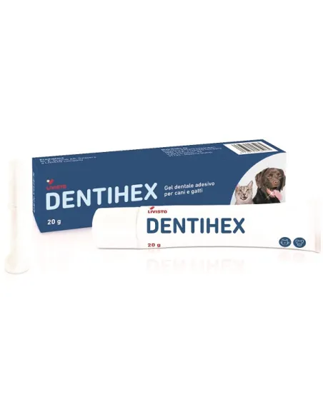 Dentihex Gel Dentale Ades 20G Dentihex Gel Dentale Ades 20G