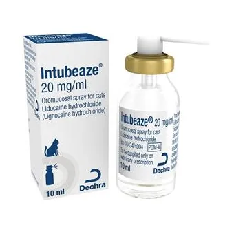Intubeaze Spray 20 mg/ml per Gatti 10 ml