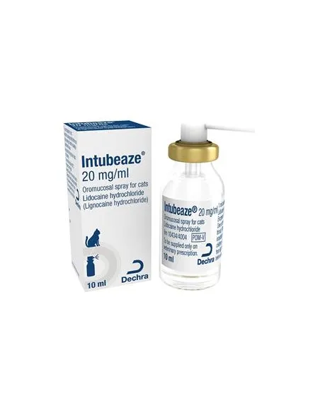 Intubeaze Spray 20 mg/ml per Gatti 10 ml