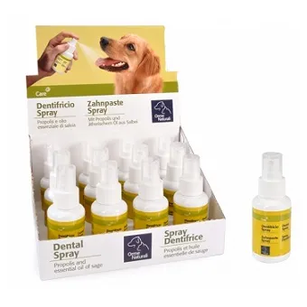 Orme Naturali Dentifricio Spray Menta 50ML