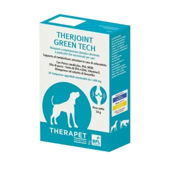 Thergiint Green Tech 30 Comprimés Bioforlife