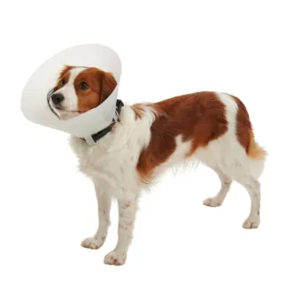 Elisabetta Klassisches Halsband 30 cm