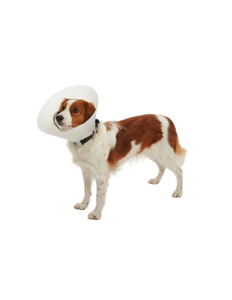 Elisabetta Cuello clásico 30 cm