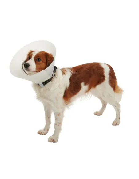 Elisabetta Klassisches Halsband 30 cm