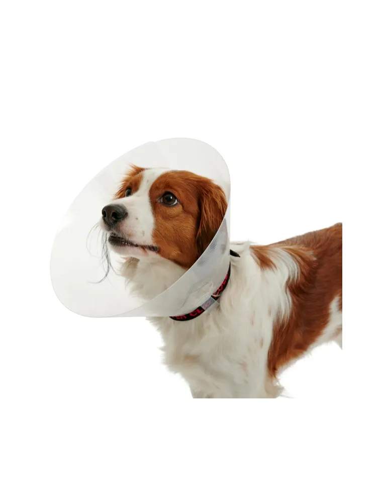 Transparent Elisabetta Collar 15CM