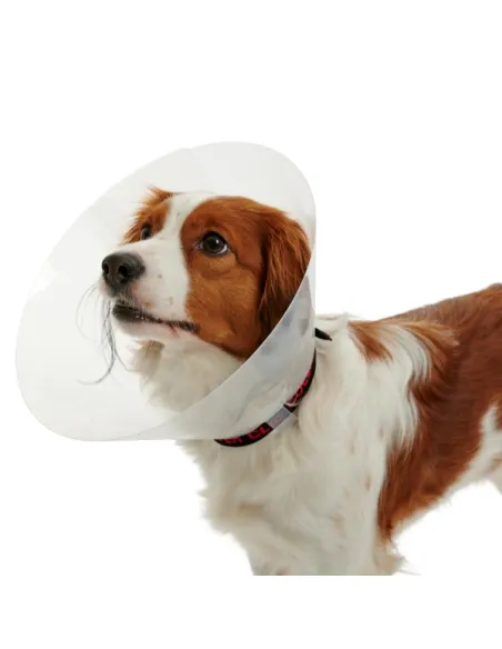 Collier Elisabetta Transparent 15CM