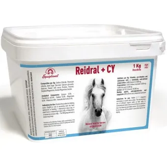 Reidral C Y 1 KG