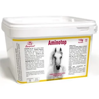 Amino Top 1 KG