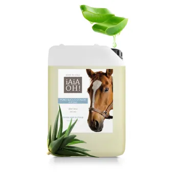 Succo aloe 5 L Iaiaoh! Cavallo