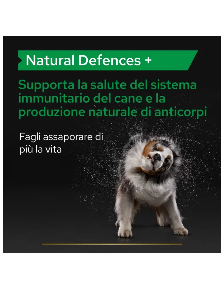 Proplan suplementos defensas naturales + perro...