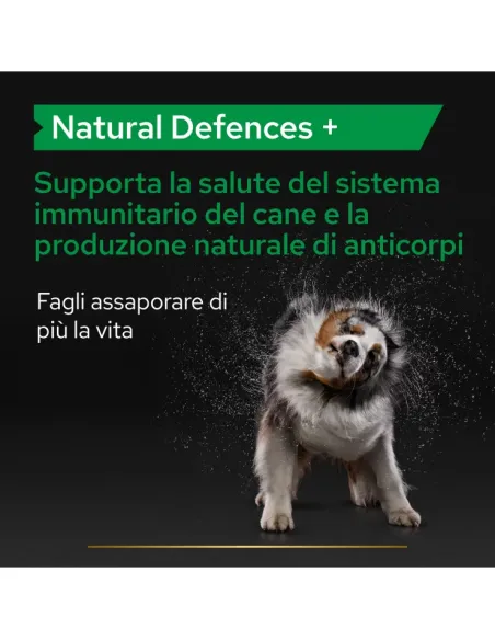 Proplan supplements natural defences + cane 90 tavolette