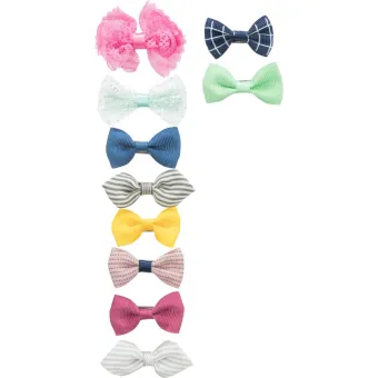 Papillon Grande Per Yorkshire